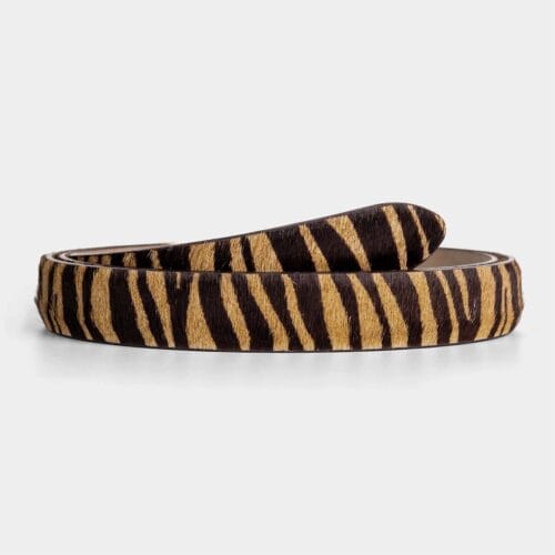 Safari 1